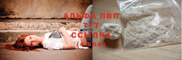 гашик Верея