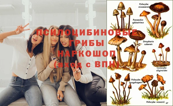 COCAINE Верхний Тагил