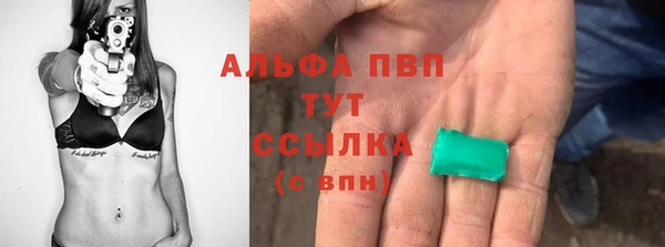 гашик Верея