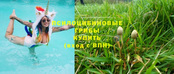 гашик Верея