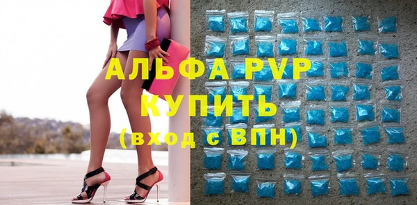 гашик Верея