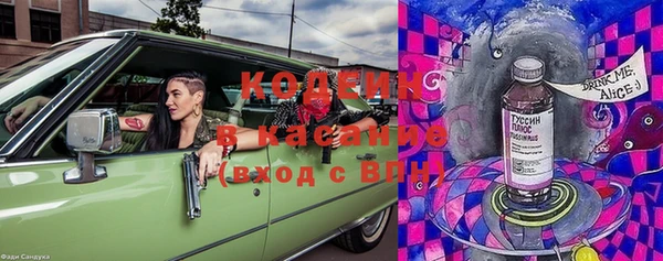 гашик Верея