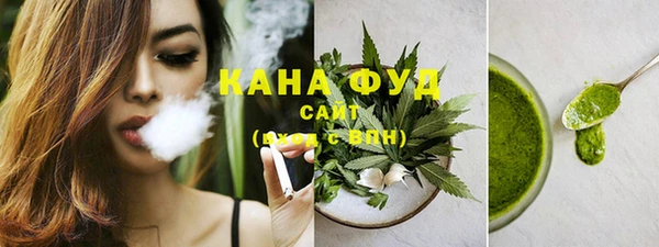 гашик Верея
