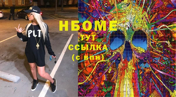 гашик Верея