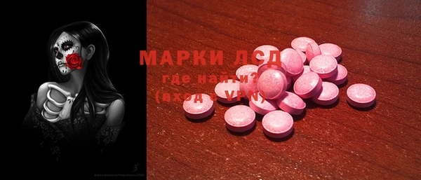 гашик Верея