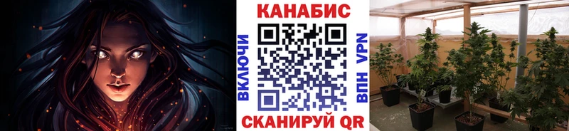 Купить закладки Санкт-Петербург Шишки марихуана гибрид